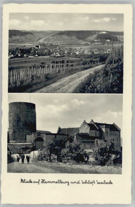 Hammelburg Schloss Saaleck