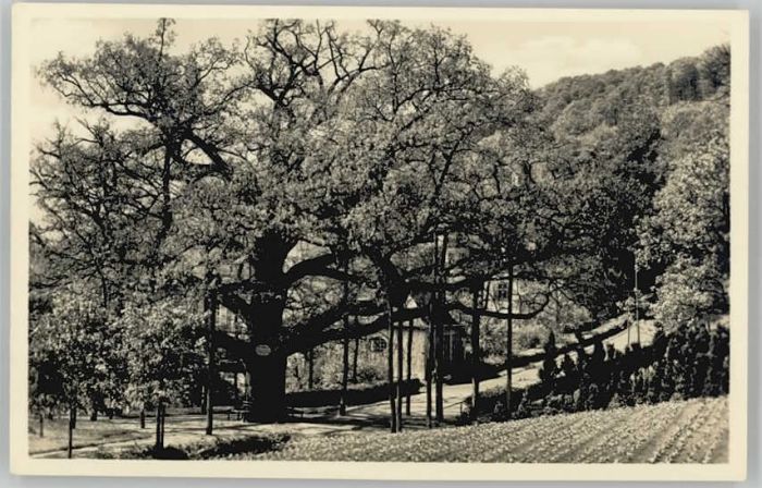 Bad Brueckenau önigseiche *