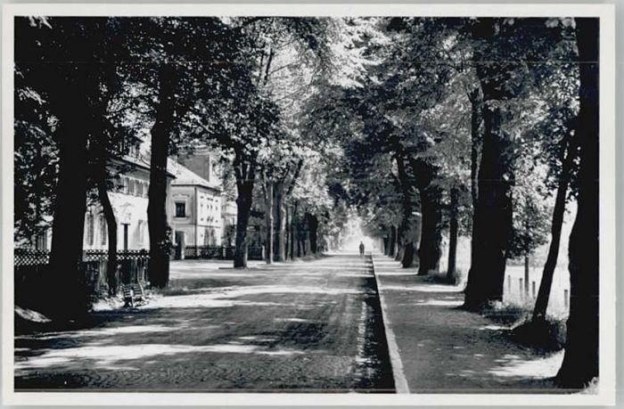 Dillingen Donau Grosse Allee