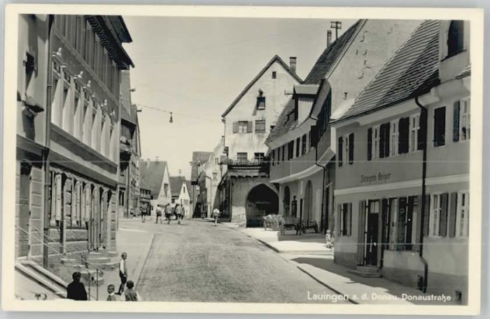 Lauingen Donau Donaustrasse