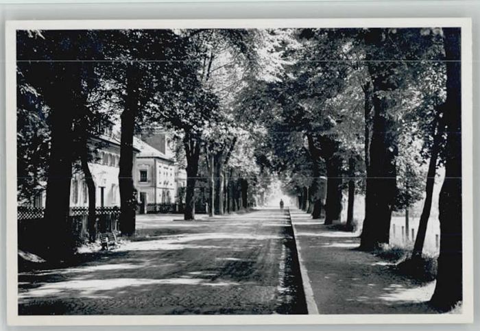 Dillingen Donau Grosse Allee