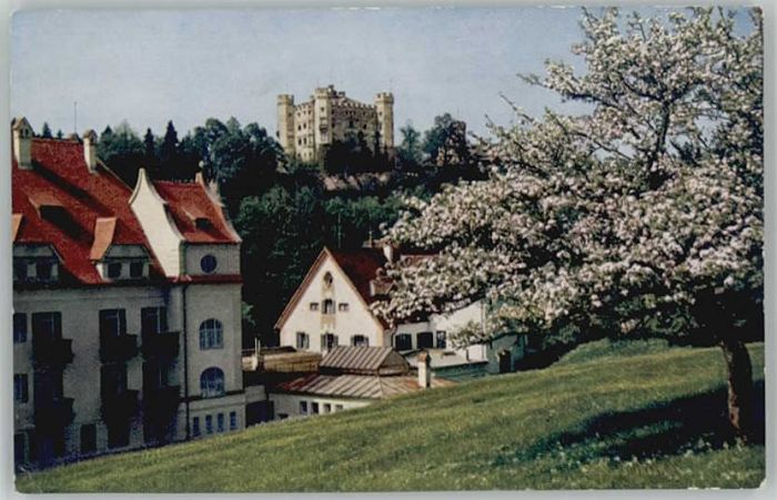 Hohenschwangau Hotel Alpenrose Schloss