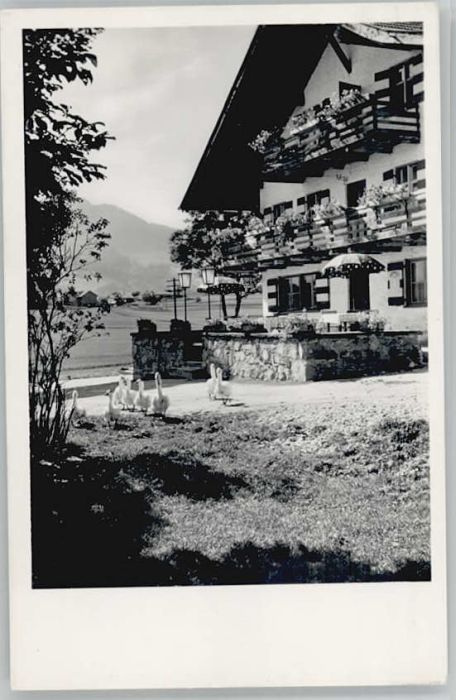 Lachen Gasthaus Fremdenheim Löwen