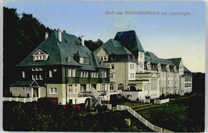 Roderbirken