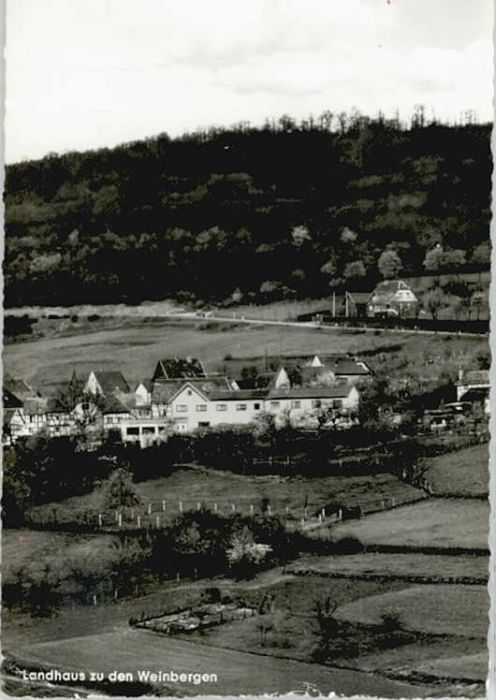 Hasenfeld Landhaus zu den Weinbergen