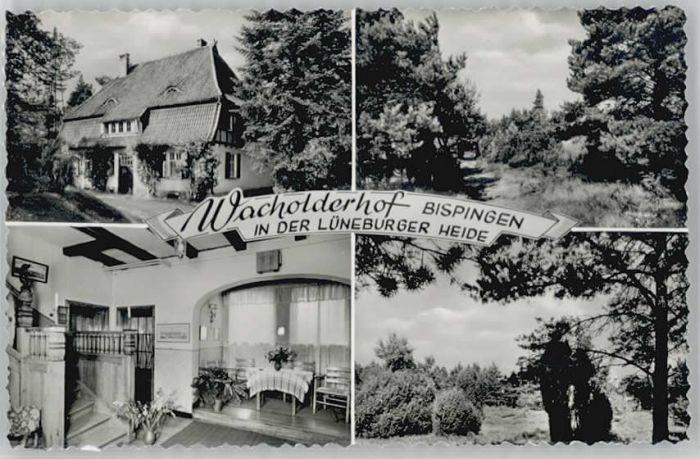 Bispingen Wacholderhof