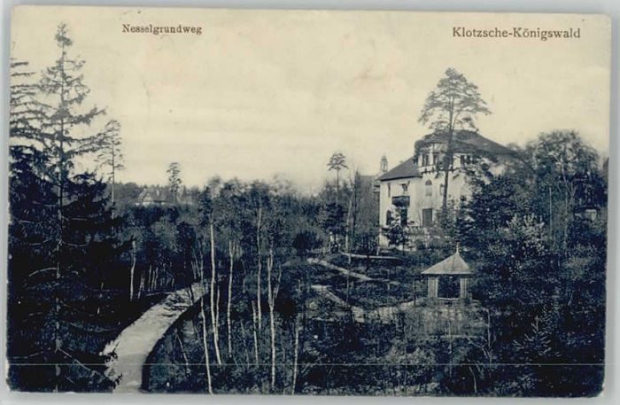 Klotzsche Königswald Nesselgrundweg