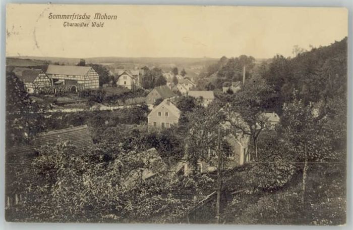 Mohorn Tharandter Wald