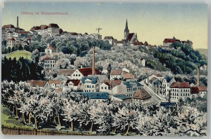 Leisnig Künstlerkarte Leisnig im Blütenschmuck
