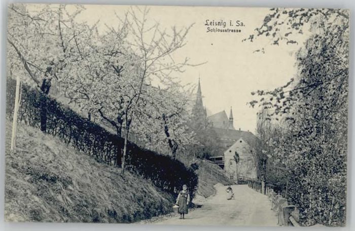 Leisnig Schlossstrasse