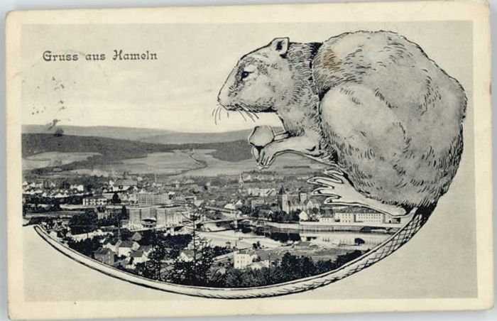 Hameln Weser Hameln Ratte
