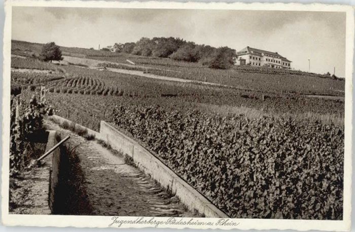 Ruedesheim ugendherberge