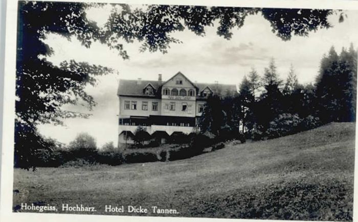 Hohegeiss Harz Hohegeiss Hotel Dicke Tannen