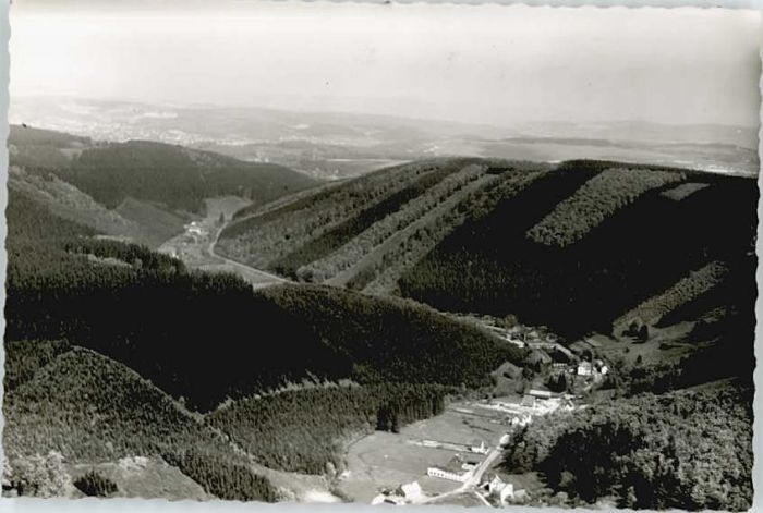 Erle Fliegeraufnahme