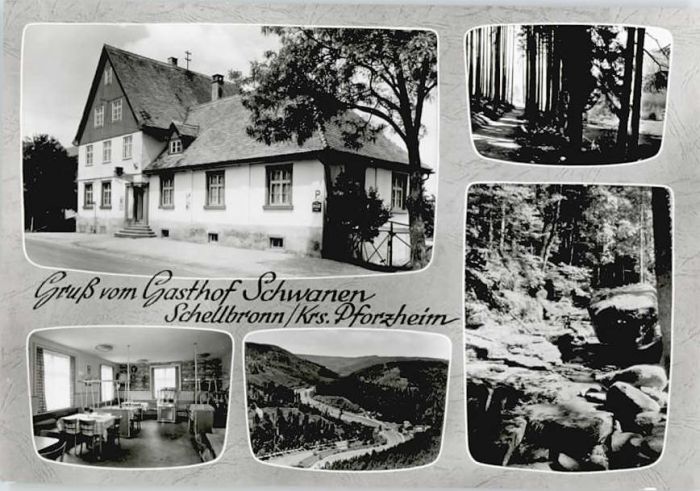 Schellbronn Gasthof Schwanen