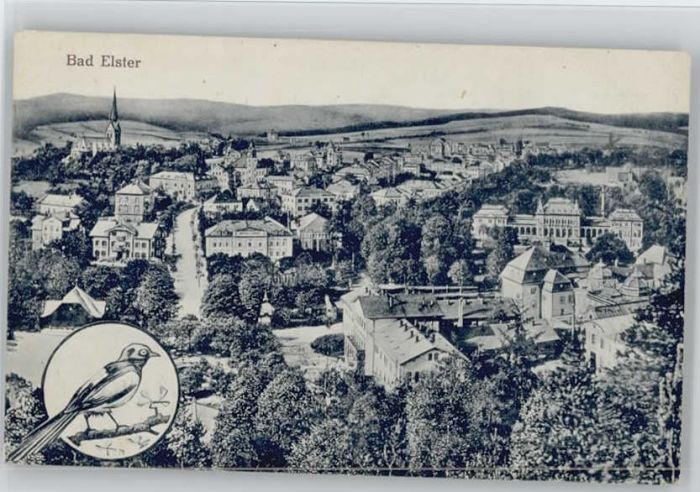 Bad Elster