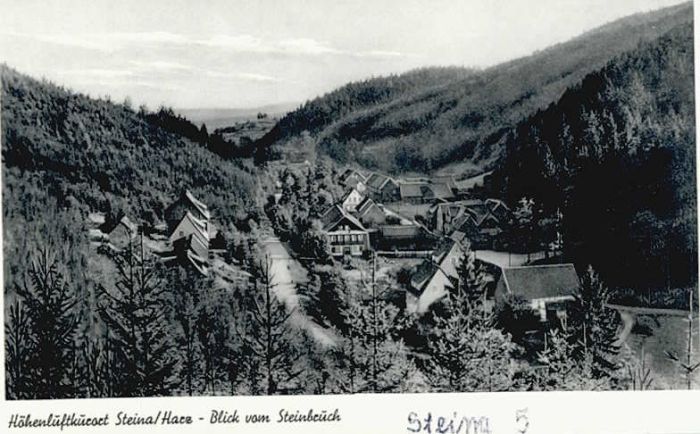 Steina Suedharz