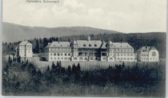 Wittlich Heilstätte Grünewald x