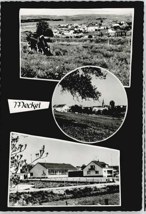 Meckel