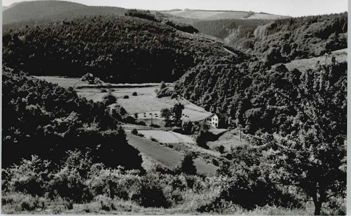 Adenau Ahrweiler Rheinland-Pfalz Adenau