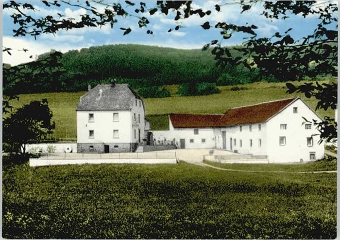 uedersdorf Vulkaneifel Rheinland-Pfalz ension Restaurant uedersdorfer Muehle *