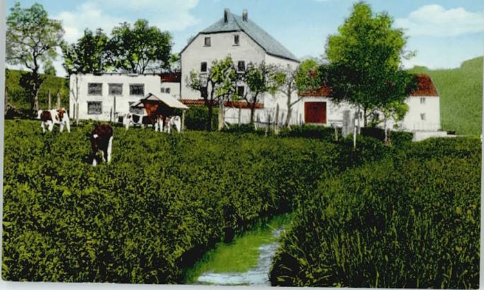 uedersdorf Vulkaneifel Rheinland-Pfalz ension Restaurant uedersdorfer Muehle *