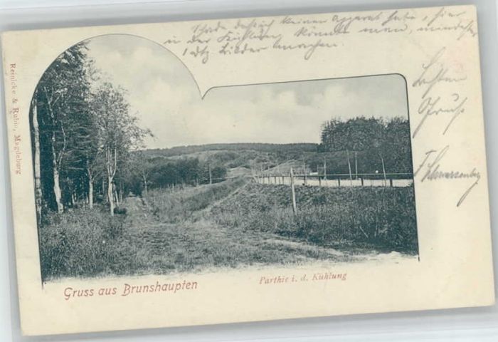 Brunshaupten