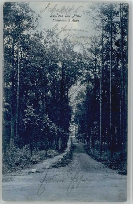 Seelust Plau See Eichbaum Allee