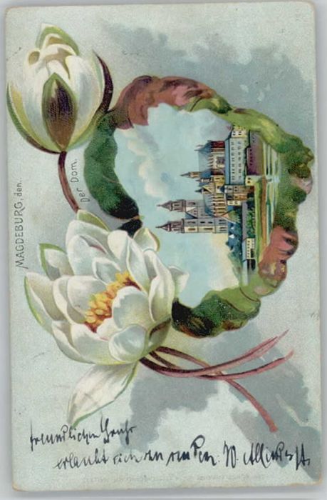 Magdeburg Dom Blumen