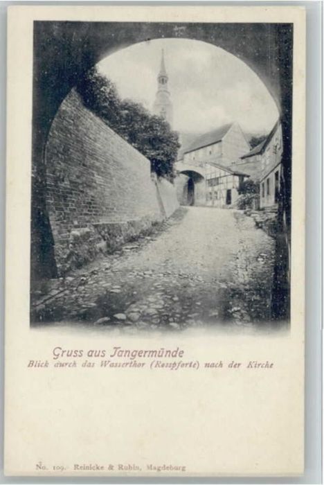 Tangermuende assertor