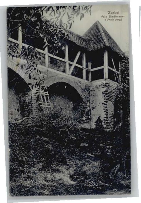 Zerbst Stadtmauer Weinberg