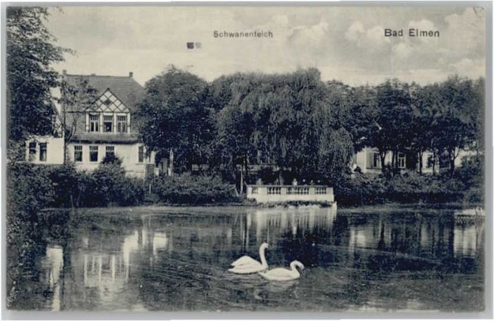 Bad Salzelmen Schwanenteich