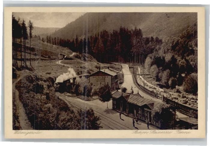 Wernigerode Harz Steinerne Renne
