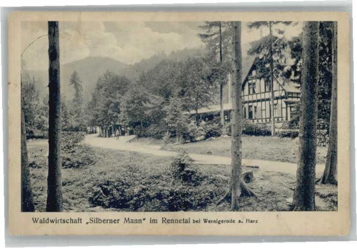 Wernigerode Harz Waldwirtschaft Silberner Mann