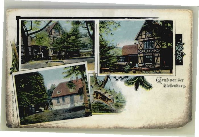 Tanne Harz Plessenburg