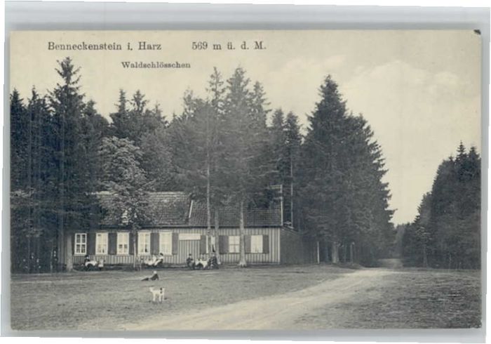 Benneckenstein Waldschlösschen