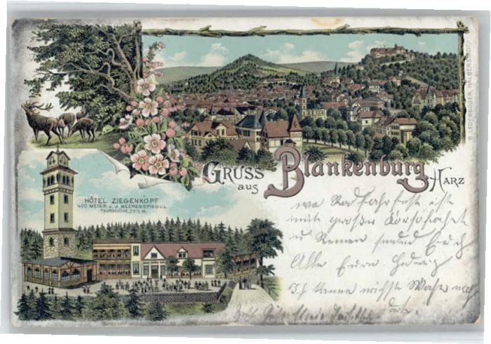 Blankenburg Harz Hotel Ziegenkopf