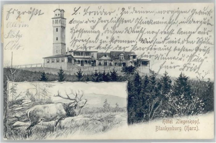 Blankenburg Harz Hotel Ziegenkopf
