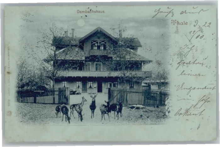 Thale Harz Thale Dambachshaus