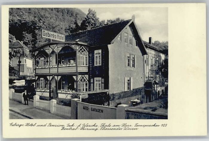 Thale Harz Thale Gebirgshotel