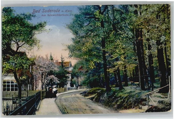 Bad Suderode Schwedderholz