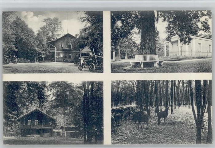 Dessau-Rosslau Dessau Sieglitzer Berg