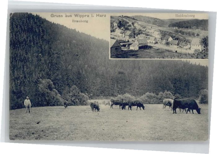 Wippra Brauberg Heidenberg