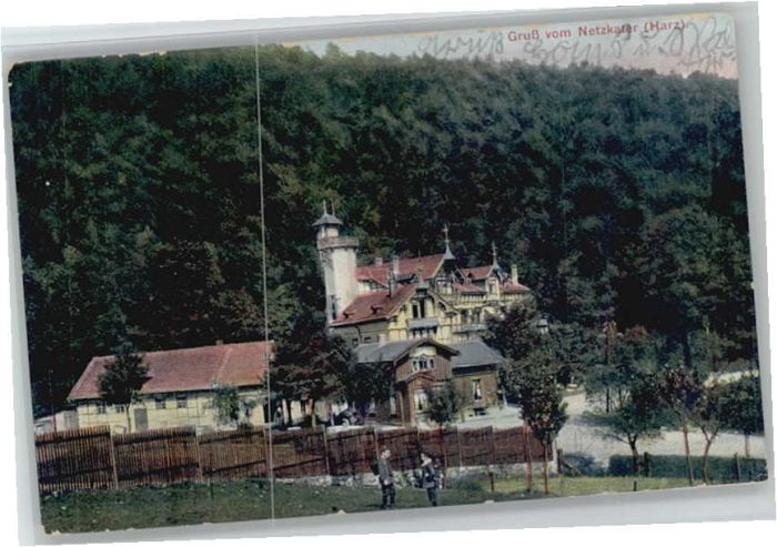 Ilfeld Netzkater