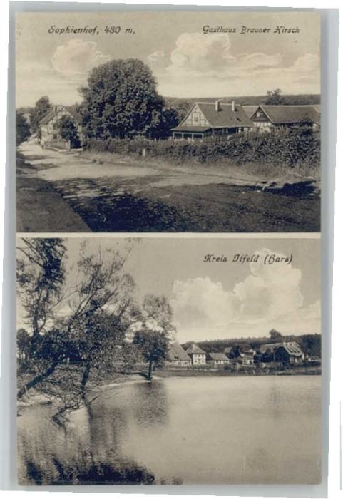Ilfeld Sophienhof Gasthaus Brauner Hirsch