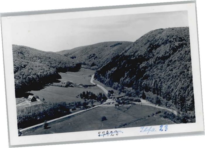 Ilfeld Fliegeraufnahme Netzkater