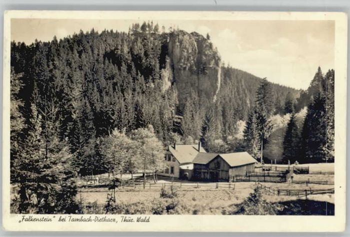 Tambach-Dietharz Falkenstein