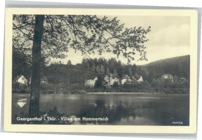 Georgenthal Villen Hammerteich
