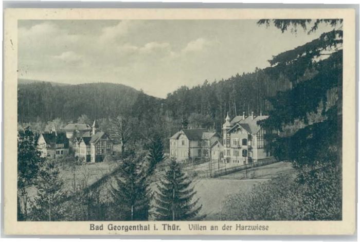 Georgenthal Villen Harzwiese