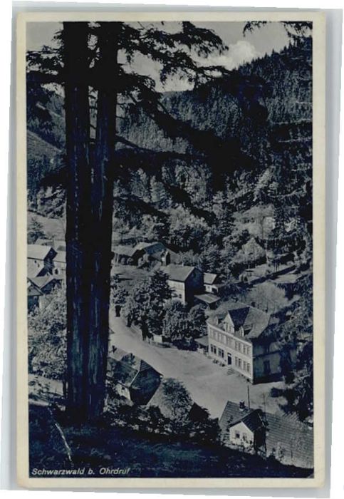 Schwarzwald Thueringen